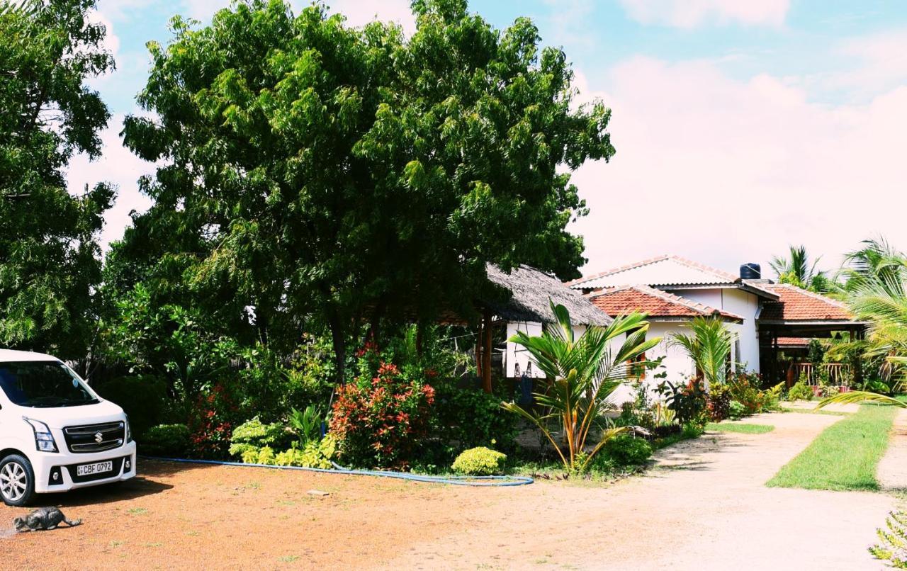 Prime Surfers Bungalow Arugam Bay Esterno foto