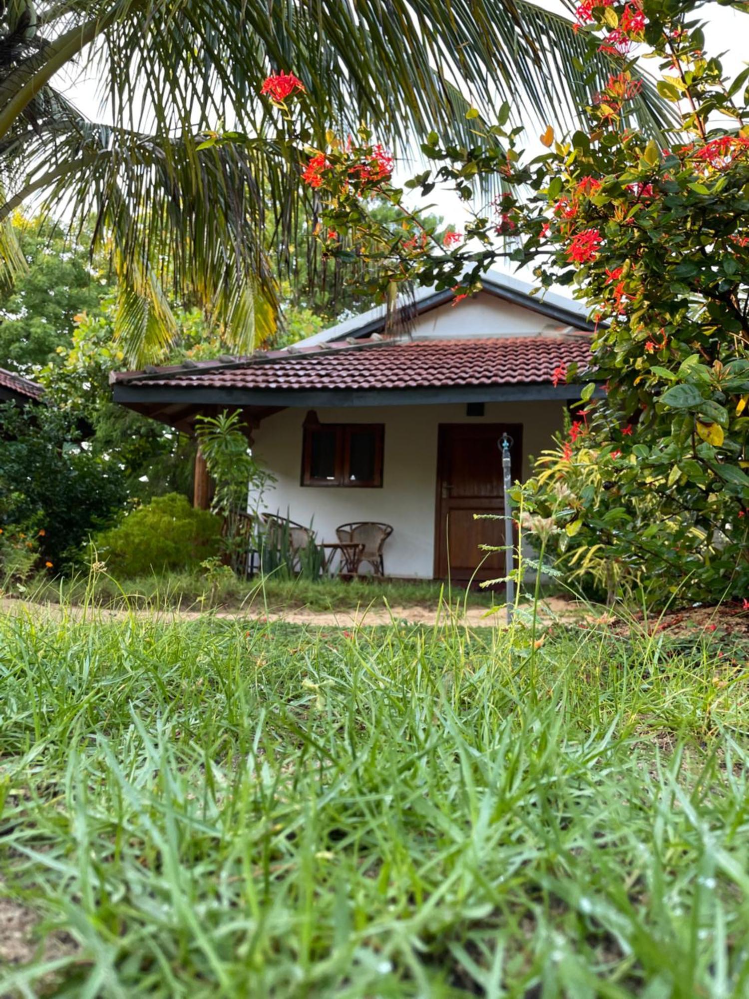 Prime Surfers Bungalow Arugam Bay Esterno foto